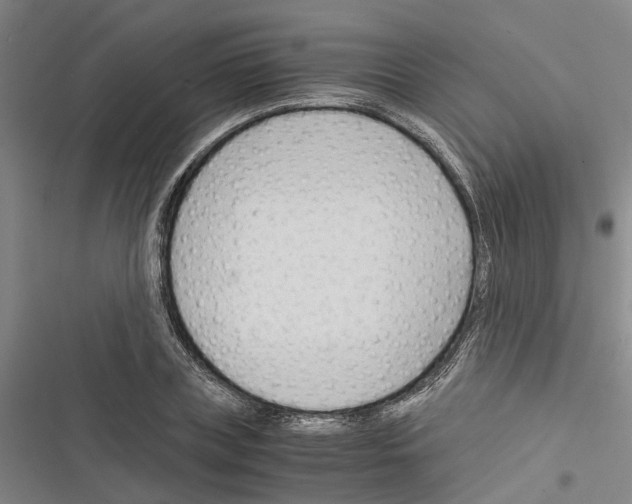 X0000116370835201001131746