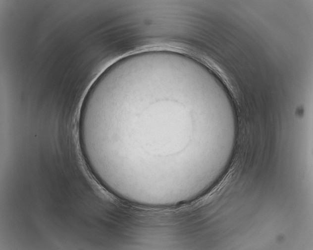 X0000116370836201001131746