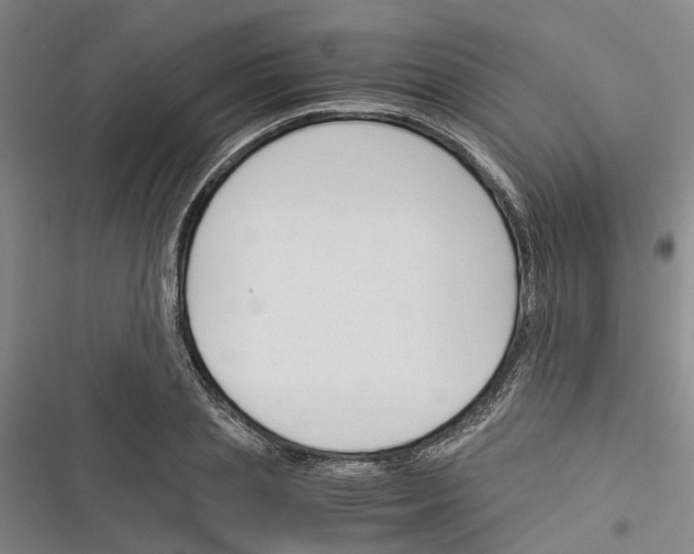 X0000116370837201001131746