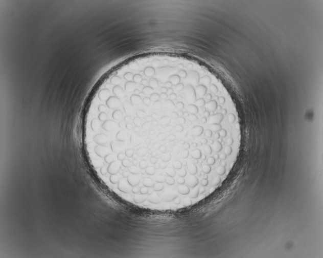 X0000116370838201001131746