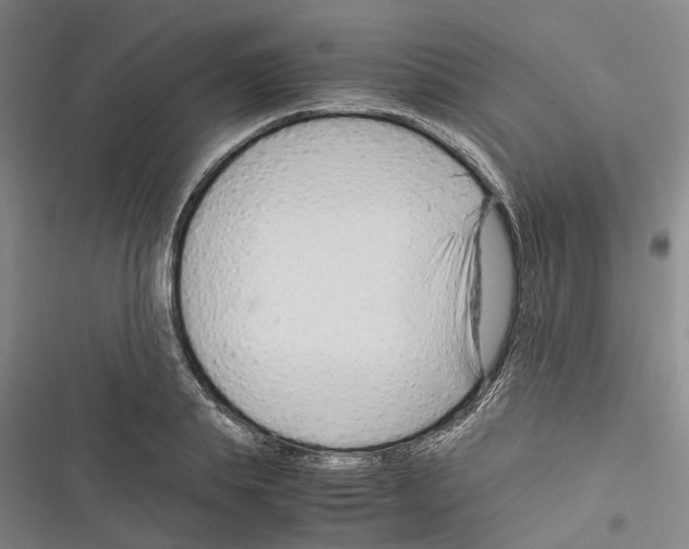 X0000116370839201001131746