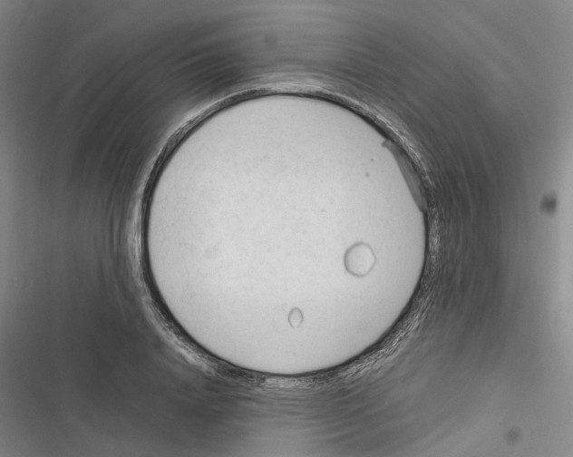 X0000116370840201001131746