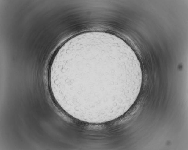 X0000116370843201001131746