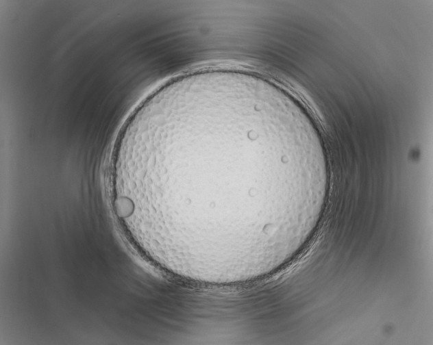 X0000116370844201001131746