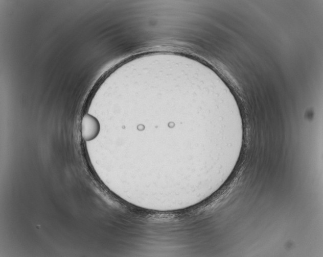 X0000116370846201001131746