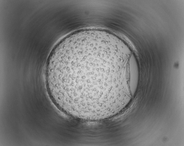 X0000116370847201001131746