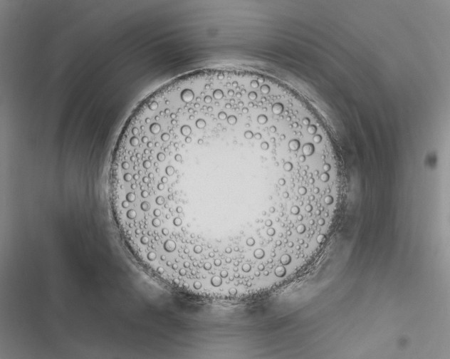 X0000116370848201001131746