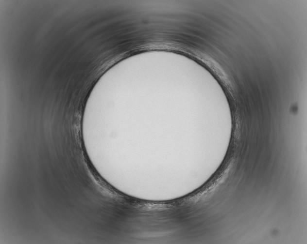 X0000116370849201001131746