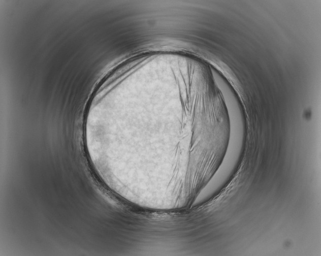 X0000116370850201001131746