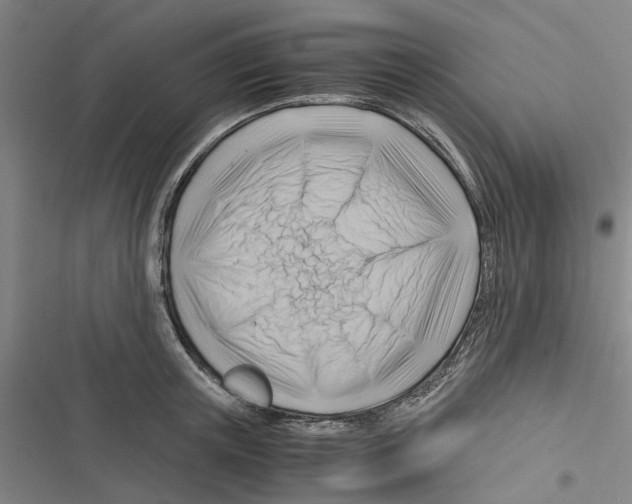 X0000116370851201001131746