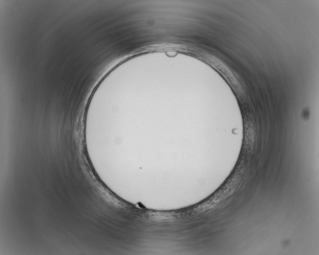 X0000116370852201001131746