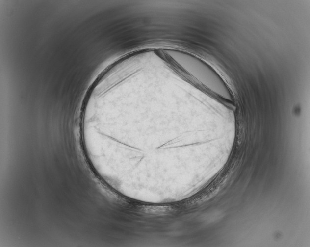 X0000116370853201001131746