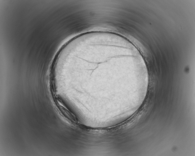 X0000116370854201001131746