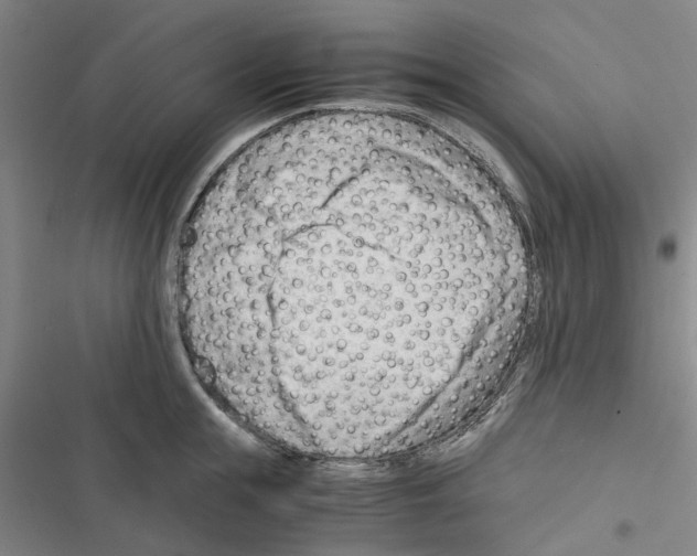 X0000116370855201001131746