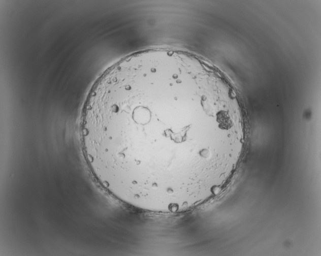 X0000116370856201001131746