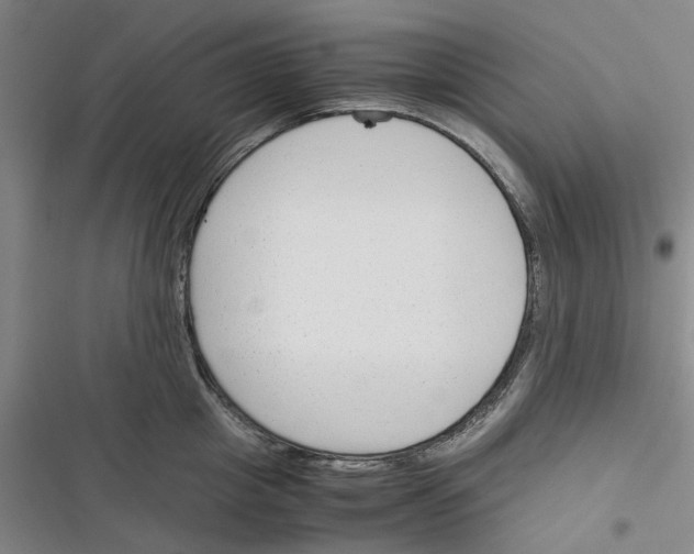 X0000116370857201001131746