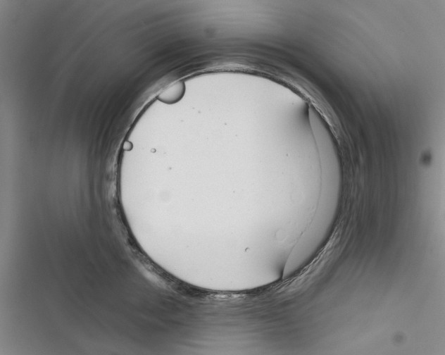 X0000116370858201001131746