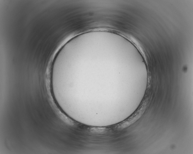 X0000116370859201001131746