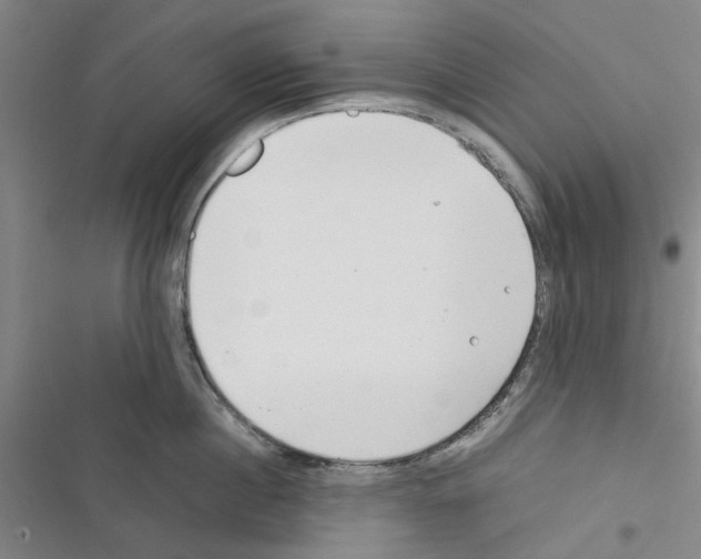 X0000116370860201001131746