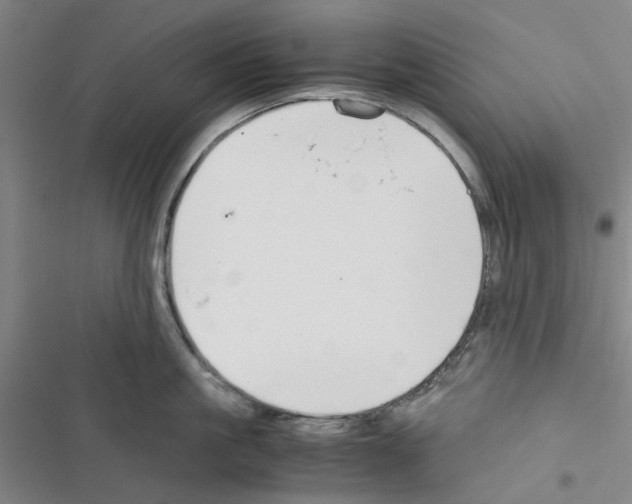 X0000116370861201001131746