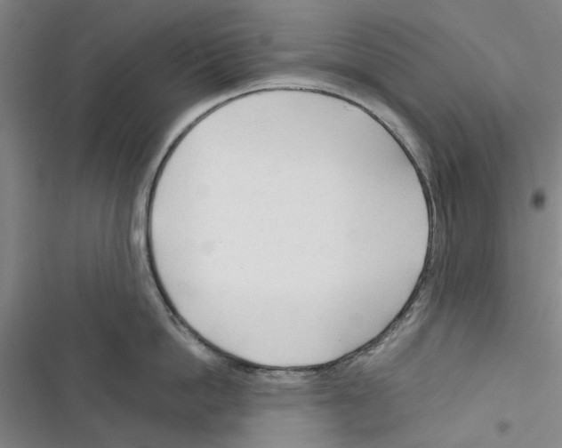 X0000116370862201001131746