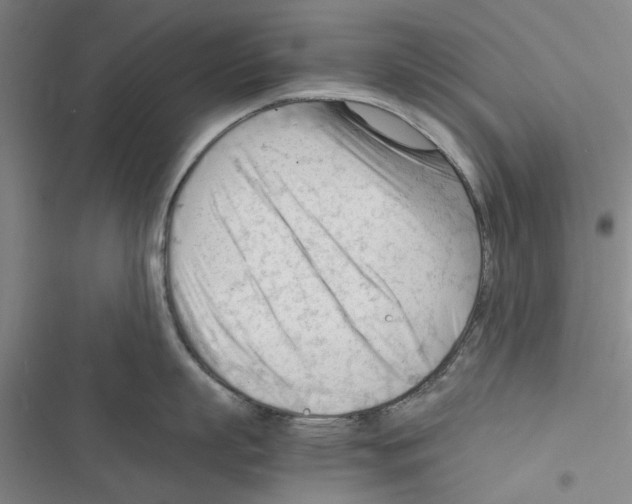 X0000116370863201001131746