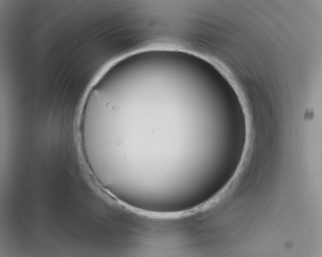 X0000116370864201001131746