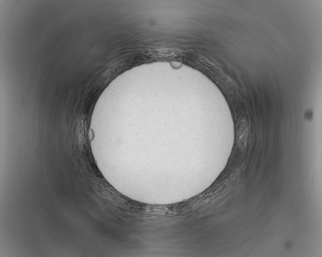 X0000116370866201001131745