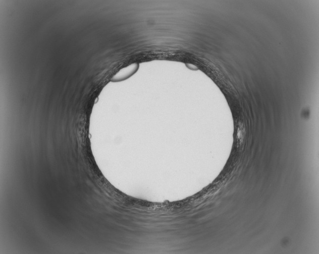 X0000116370867201001131745