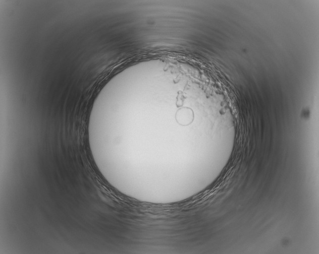 X0000116370868201001131745