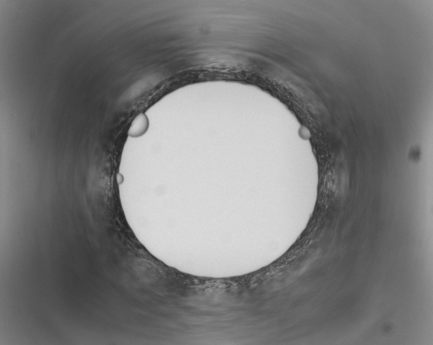 X0000116370869201001131745