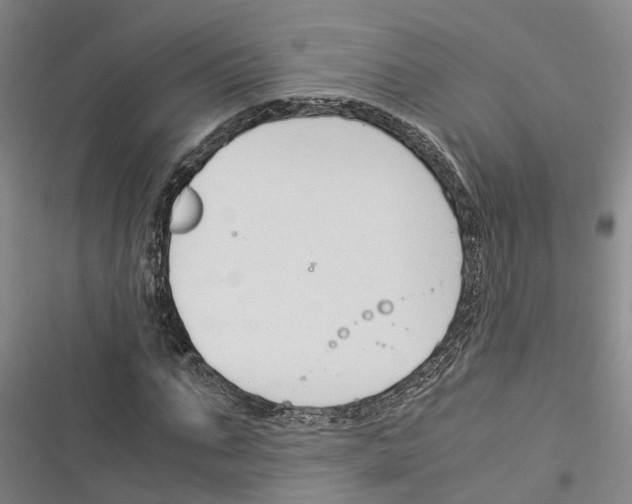 X0000116370871201001131745