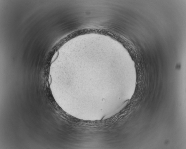 X0000116370872201001131745