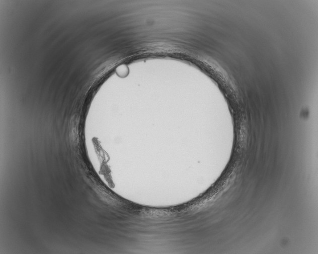 X0000116370873201001131745