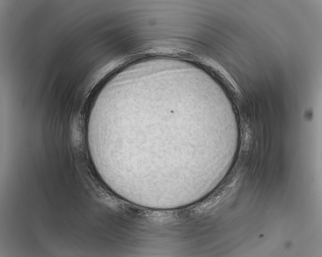 X0000116370874201001131745