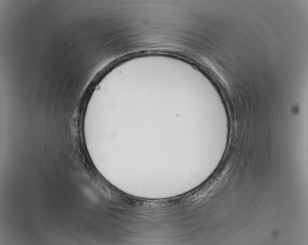 X0000116370875201001131745