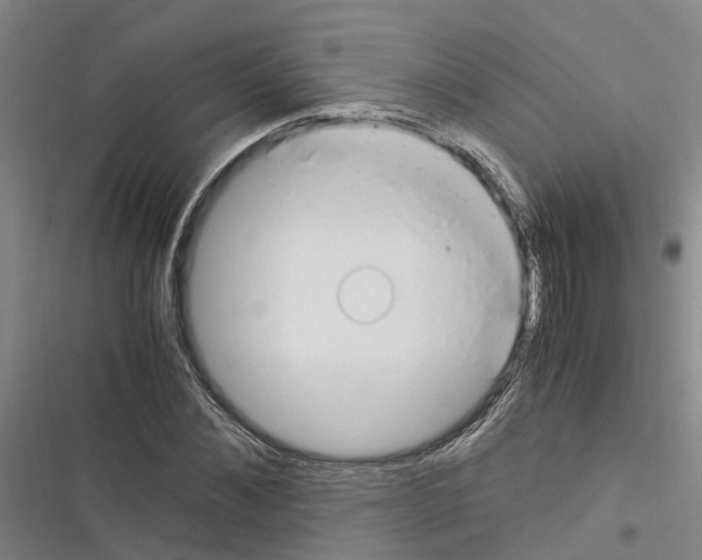 X0000116370876201001131745