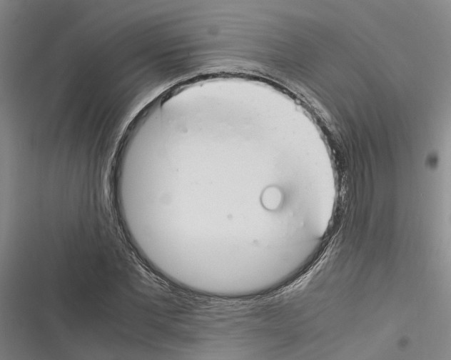 X0000116370877201001131745