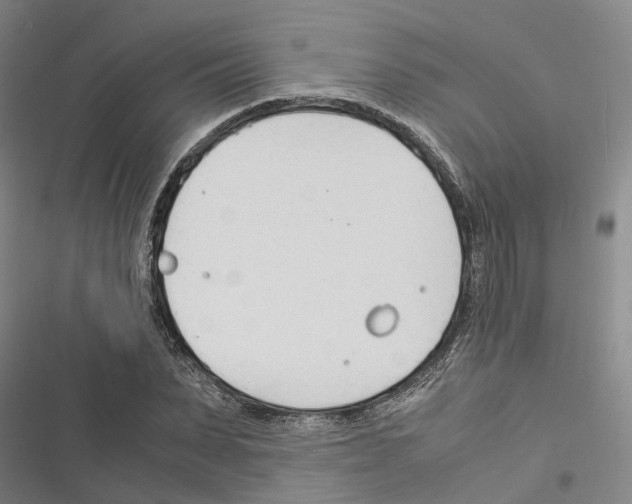 X0000116370879201001131745