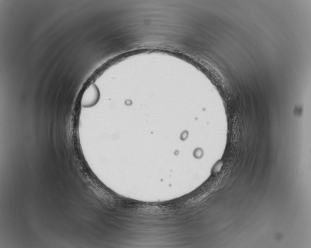 X0000116370880201001131745