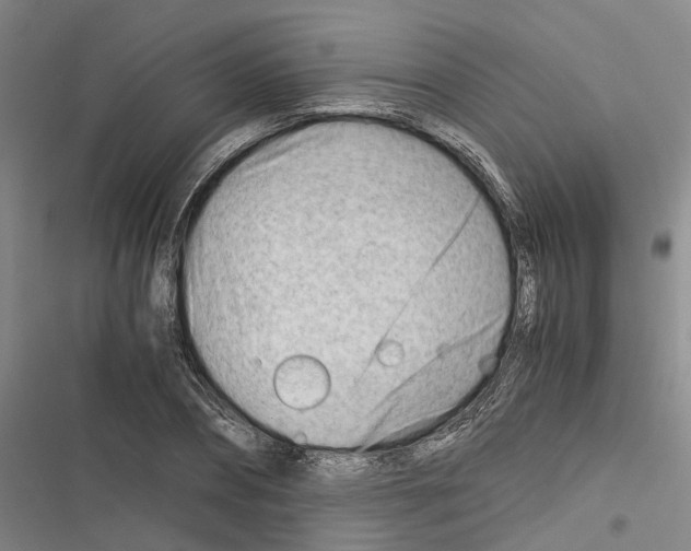 X0000116370882201001131745