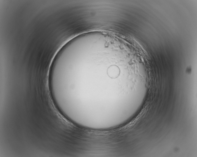 X0000116370884201001131745