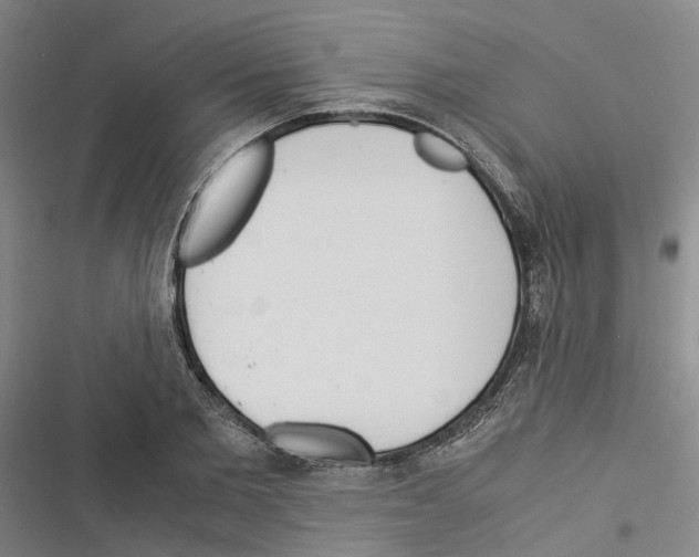 X0000116370885201001131745