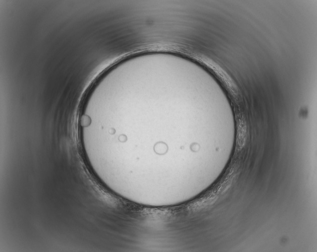 X0000116370886201001131745