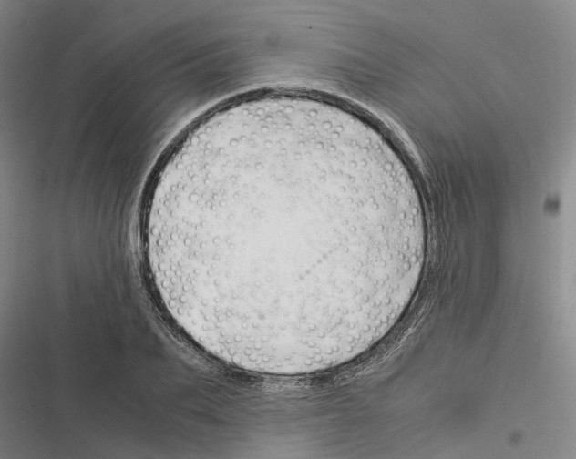 X0000116370887201001131745