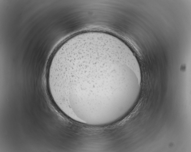 X0000116370888201001131745