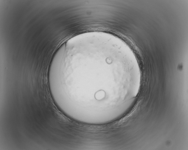 X0000116370889201001131745