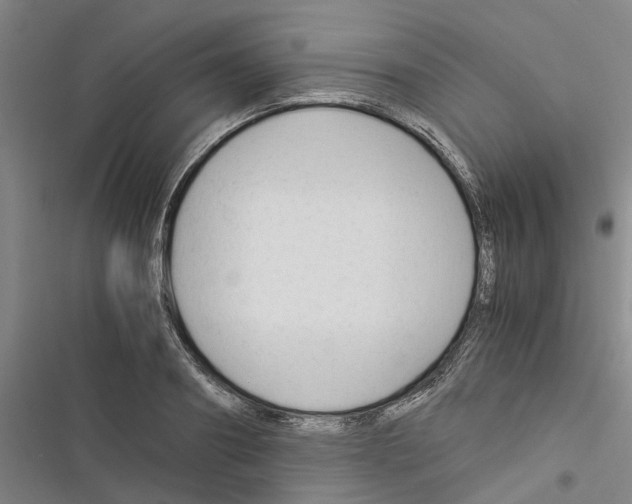 X0000116370890201001131745