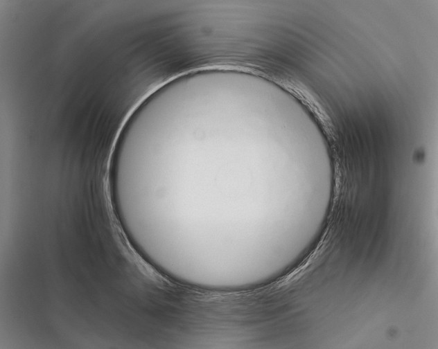 X0000116370892201001131745