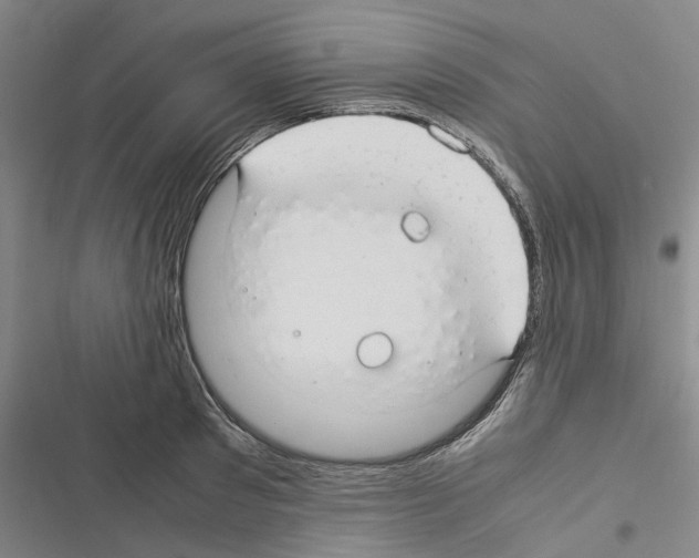 X0000116370897201001131745